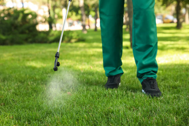 Best Bed Bug Extermination  in Hodgkins, IL