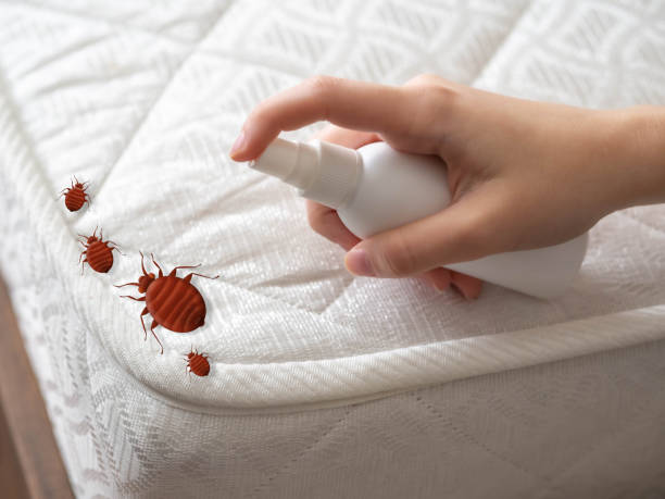 Best Commercial Pest Control Services  in Hodgkins, IL