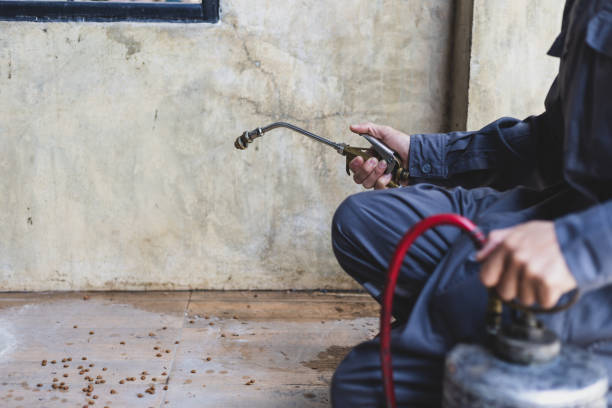 Best Emergency Pest Control  in Hodgkins, IL
